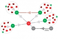 FireCell-layout